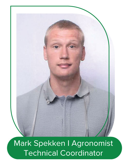 7_Mark